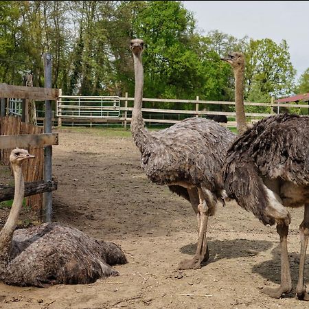 Gaestewohnung Hardinghaus Am Teich Warendorf Kültér fotó