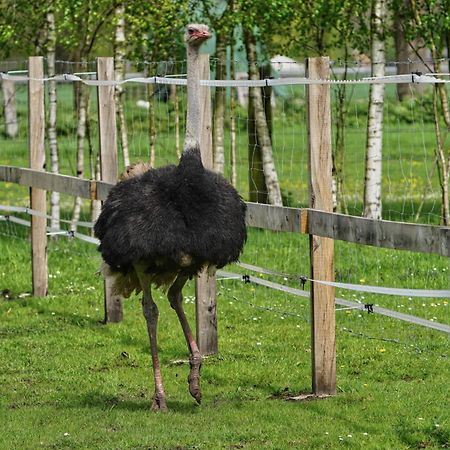 Gaestewohnung Hardinghaus Am Teich Warendorf Kültér fotó