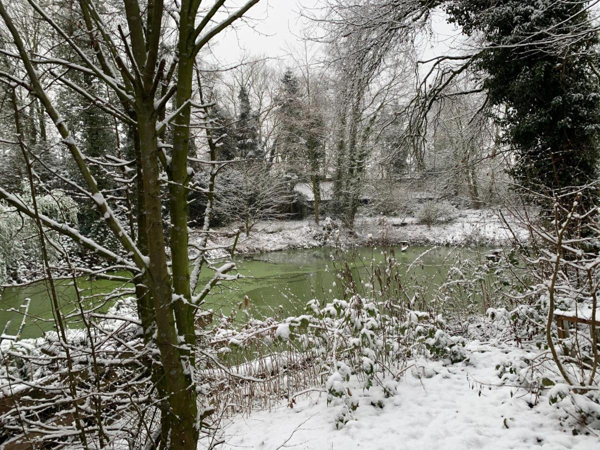 Gaestewohnung Hardinghaus Am Teich Warendorf Kültér fotó