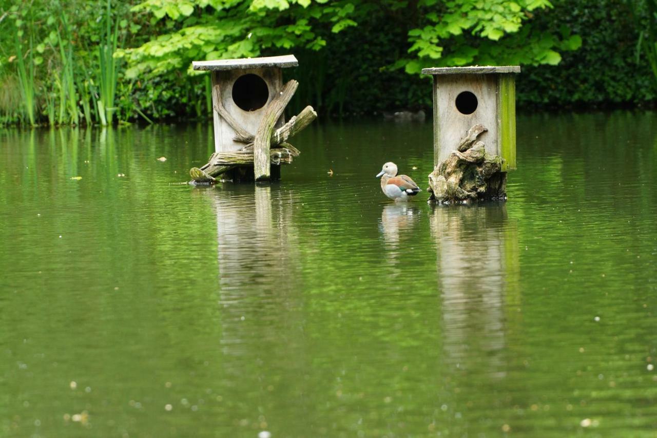 Gaestewohnung Hardinghaus Am Teich Warendorf Kültér fotó