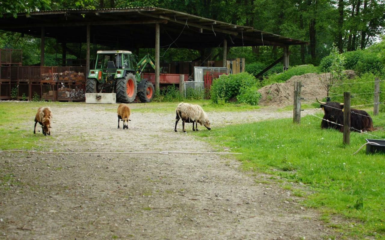 Gaestewohnung Hardinghaus Am Teich Warendorf Kültér fotó